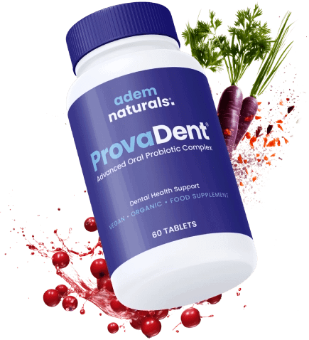 provadent Dental Health